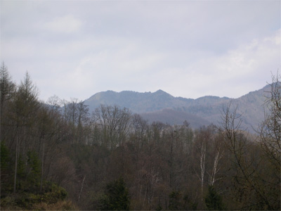 060430_1136_kasatori.jpg