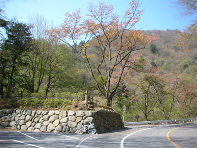 060430_836_ozaki.jpg